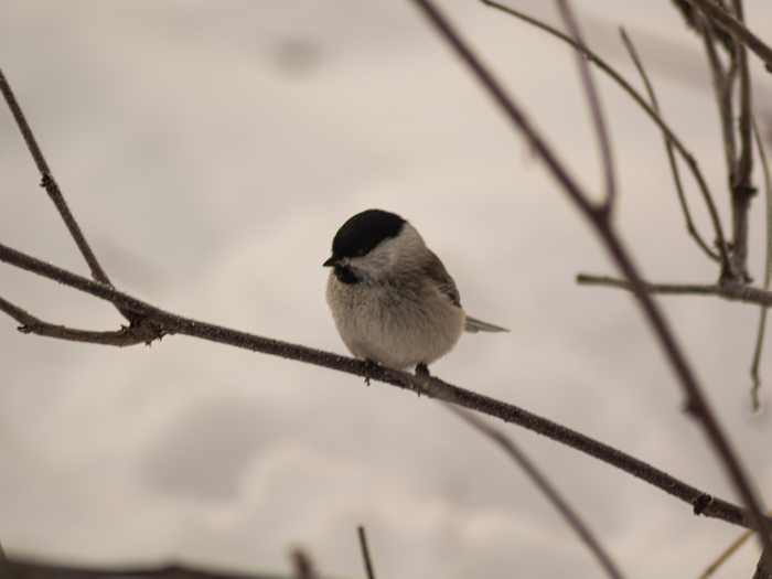 ��������� � �����