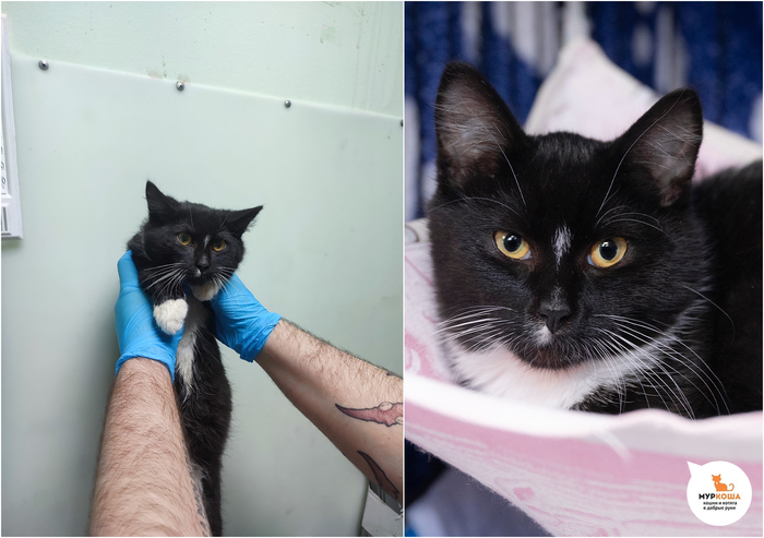 ������-������� �������, 5 �������, ������ �� �����.