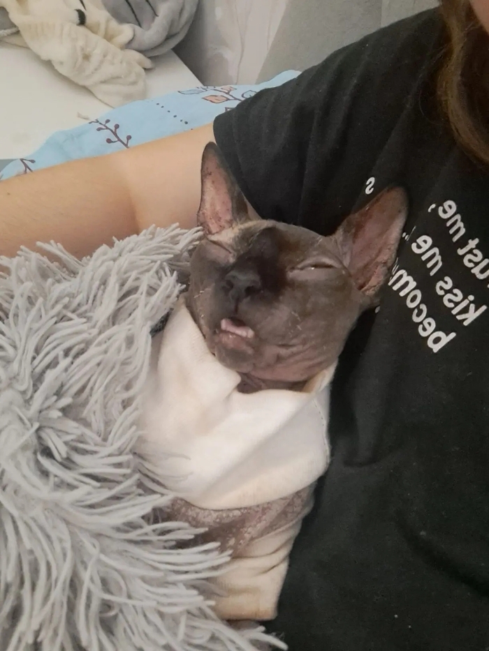 ��� ������