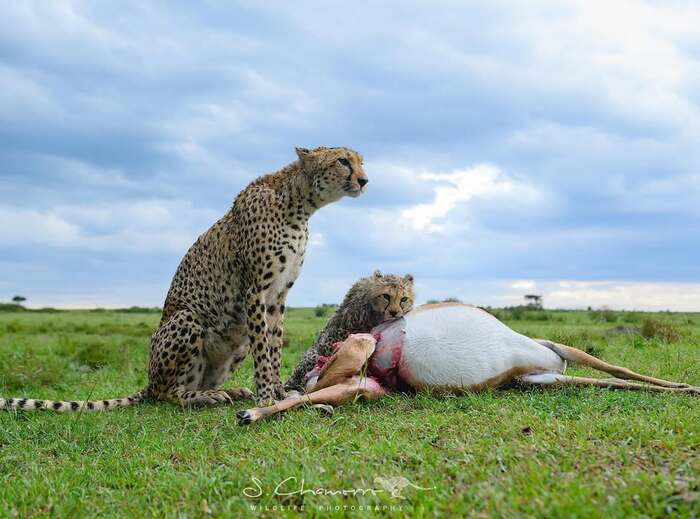 �����, �����, ����� �������