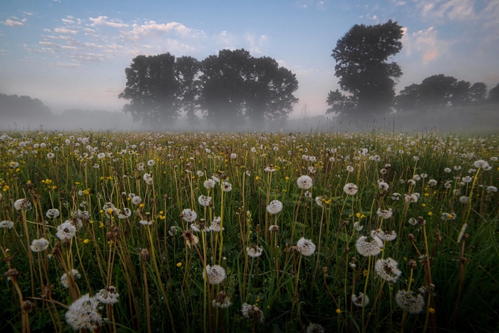 ��������� ����������