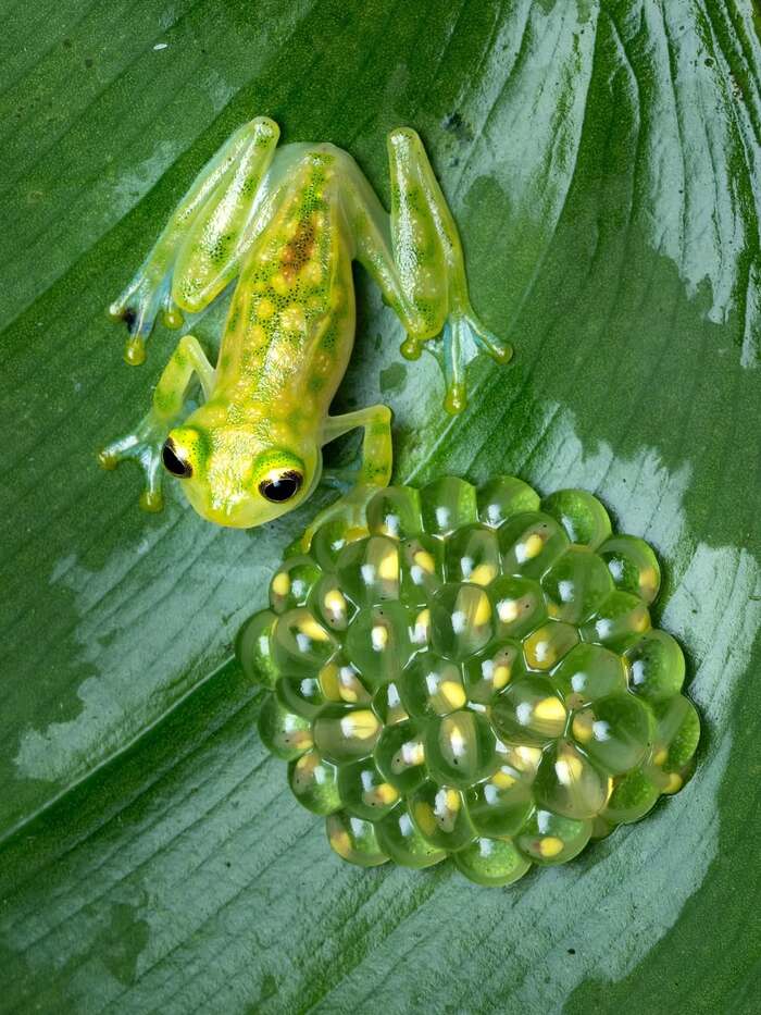 �������� ���������� ������� � ����������