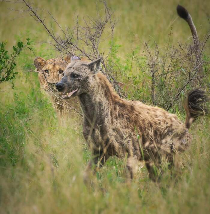 Опасность рядом