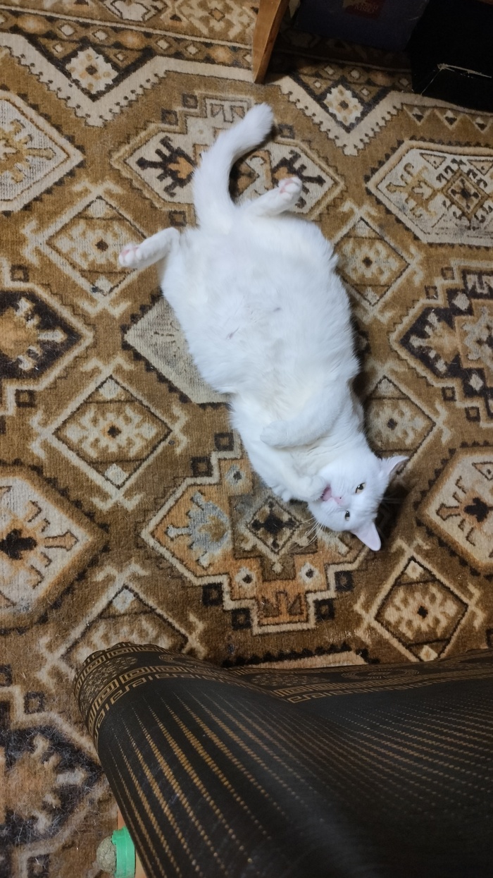 ����� �� ���� ���������� �� �� ������ ������� ���� ����. ���� � �� ��. ������� � ������ ����. �������� ���!�