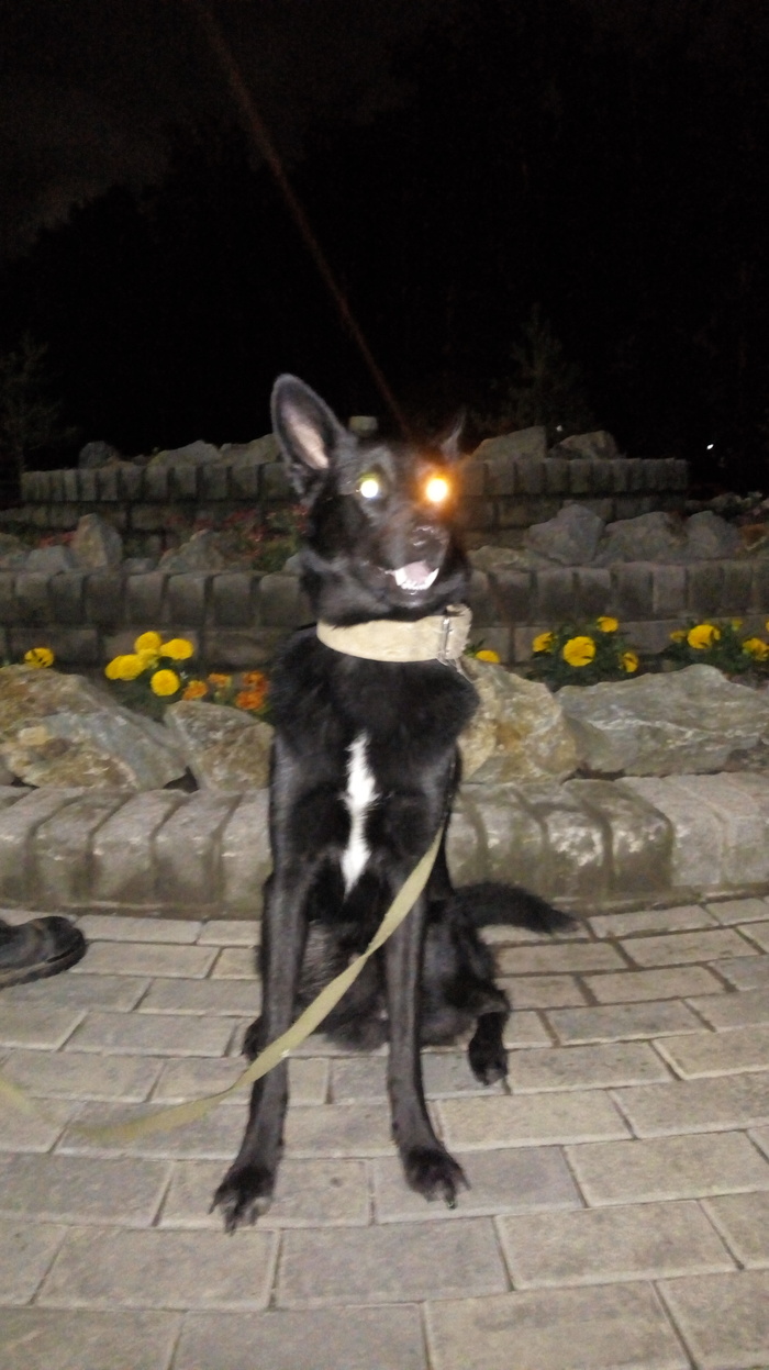 ����� �� ���� ������� ���� ���� ������