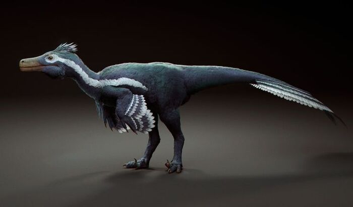 �������