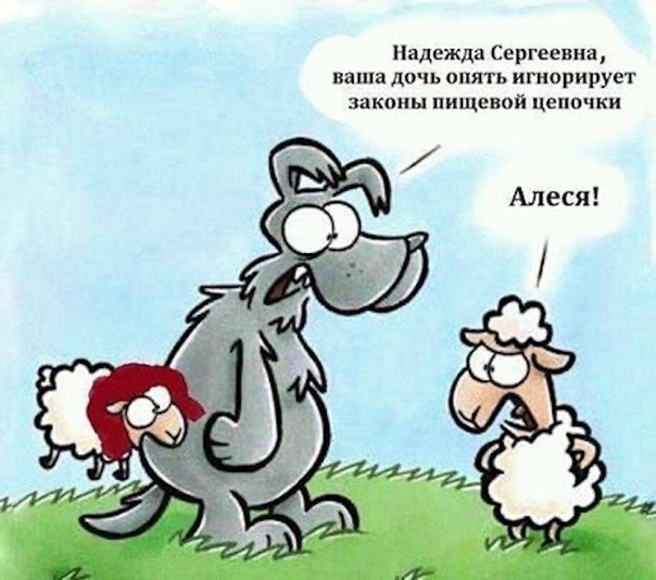 �� ����� ������������ ��������