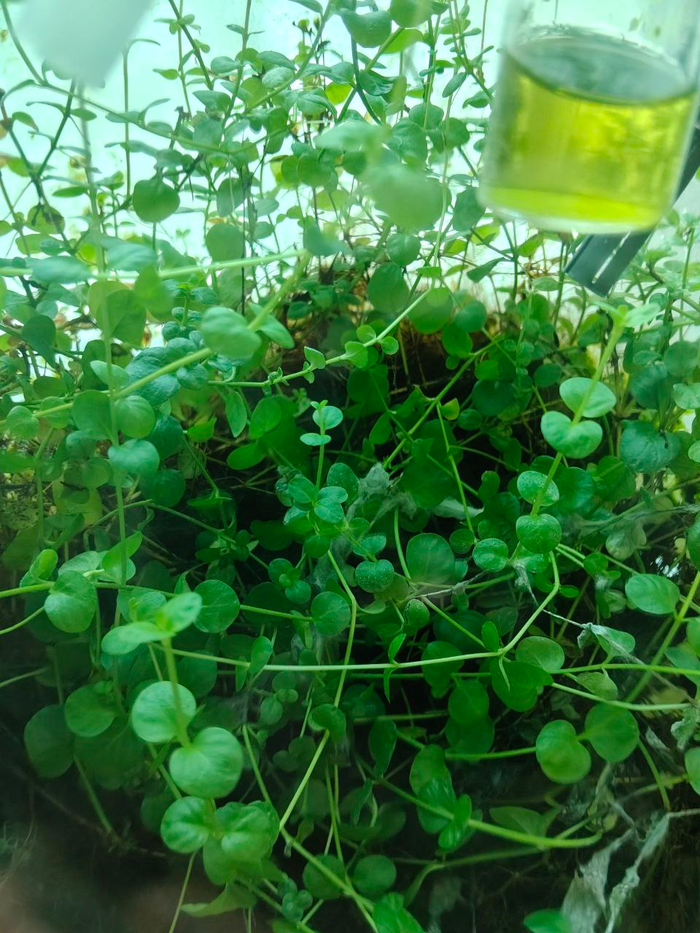 �������� ������� ������� ������