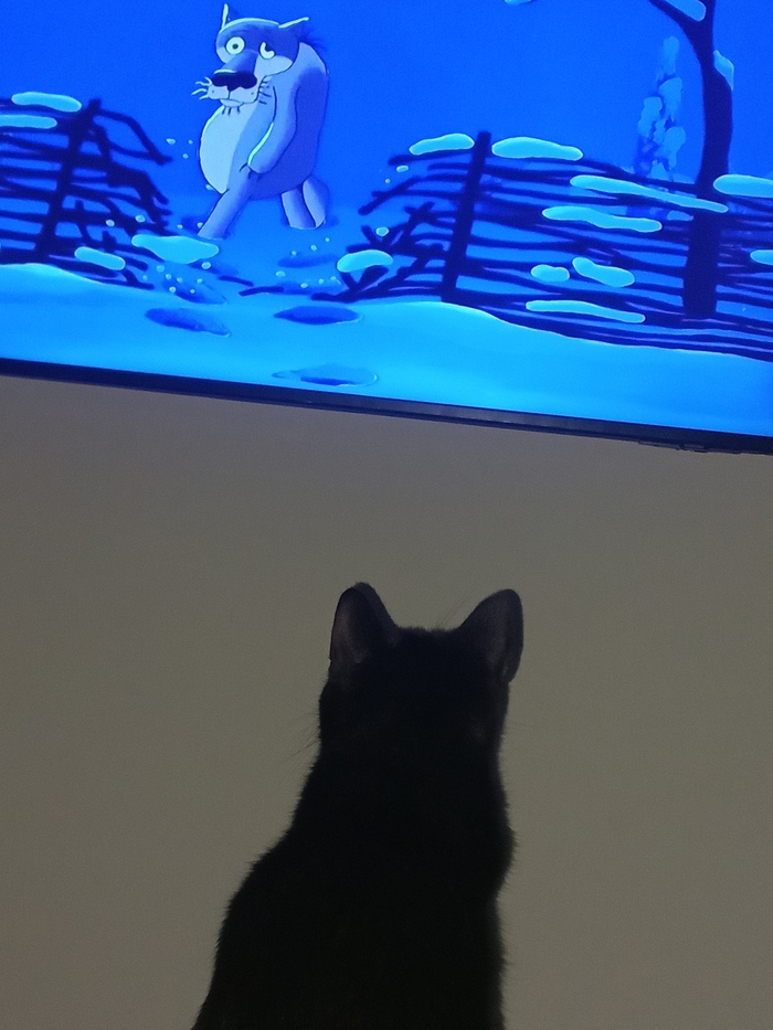 ������ ���� ����