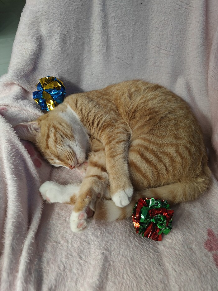 ������� �������)