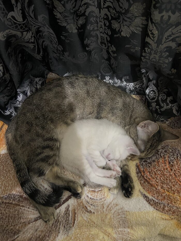 ���� � �����