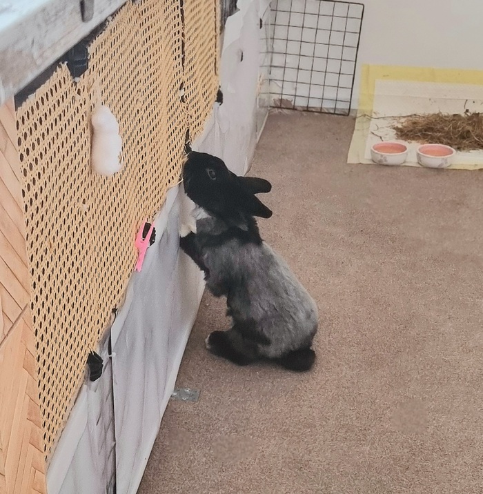 ���������� (^_____^*)