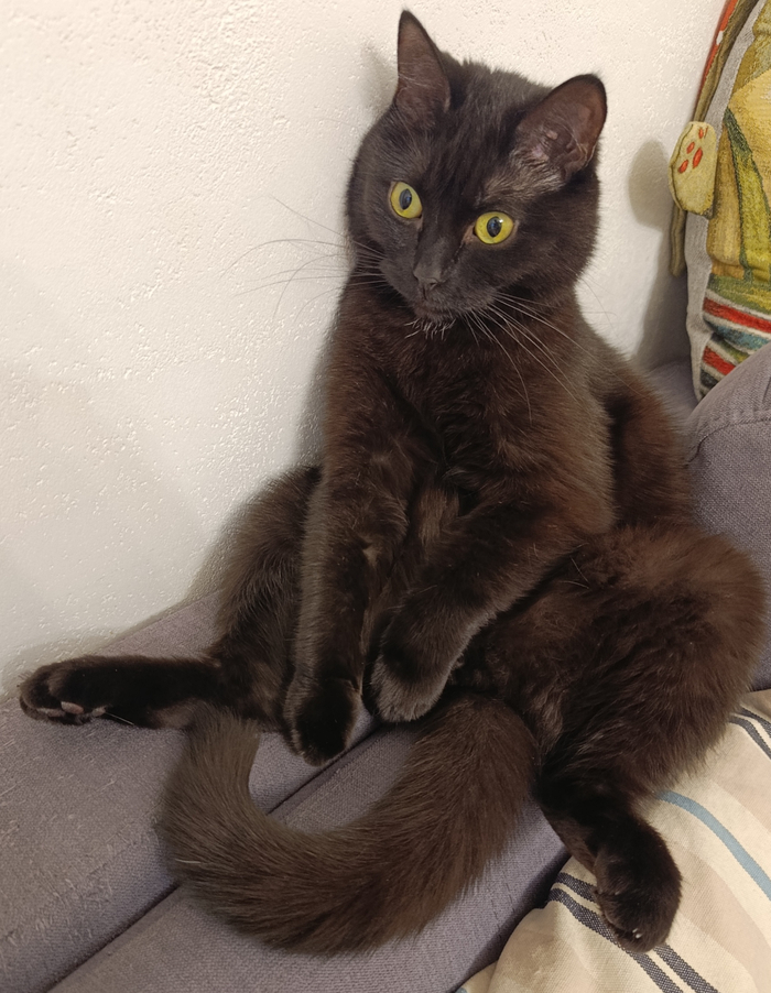 ������ �������...