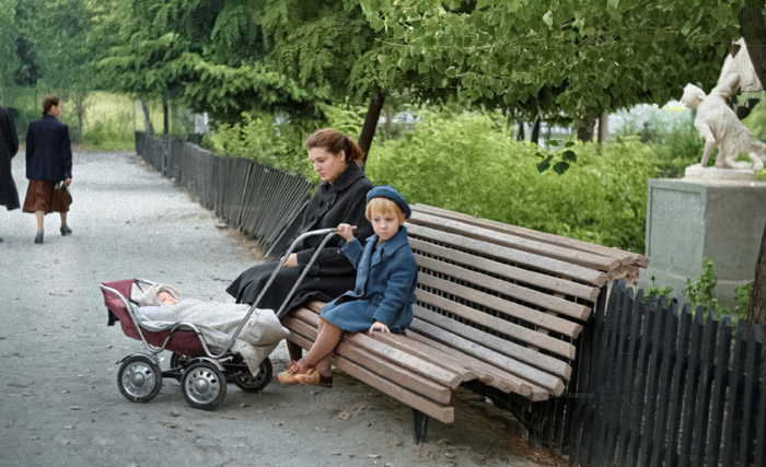 �����: ��������� �.�.