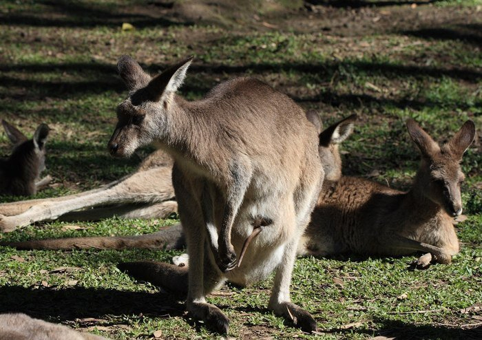 ������� �� ������� ����