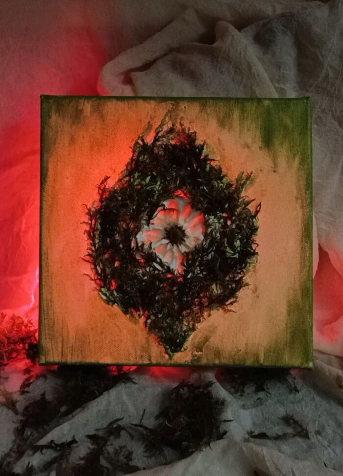 "������������� �����", 20�20��, �����, ���������� ����������, ���, ��������� �������, ��������� 