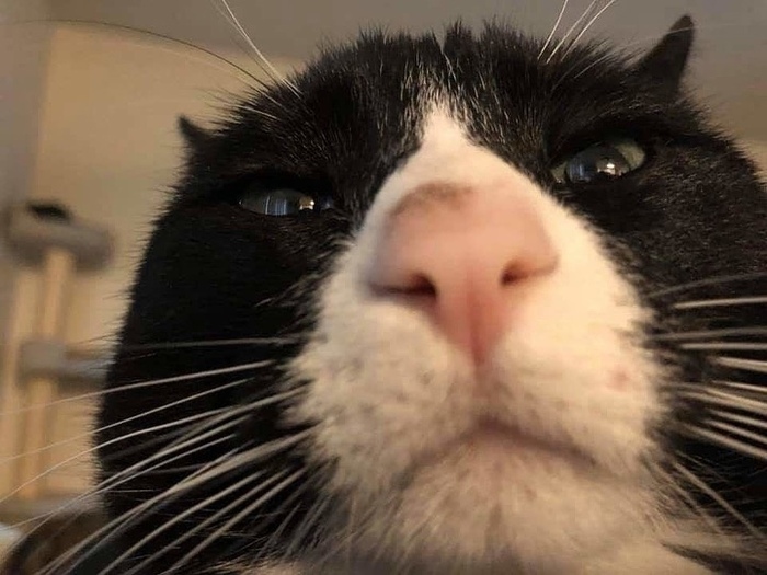 ��� ��������� �� �������? ������ ���: ����� ��� ������ ������!