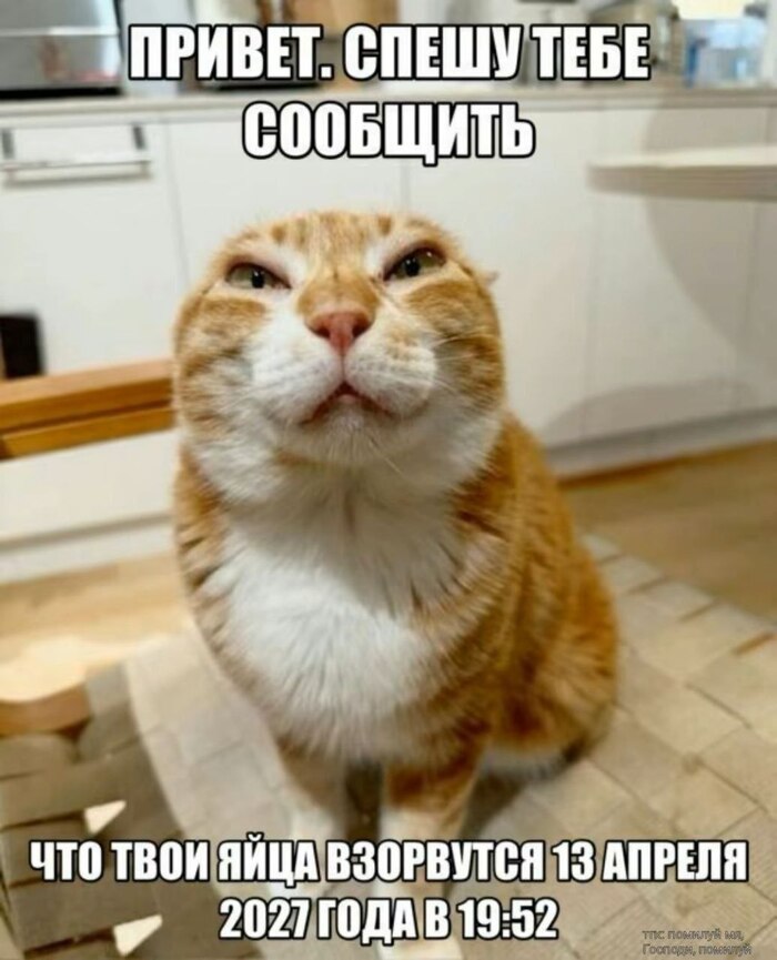 Нажо было лажися спать