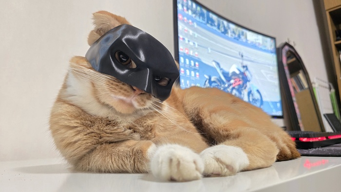 ����������