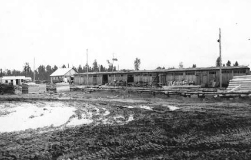 ������ ���������������� ���� ���� �������