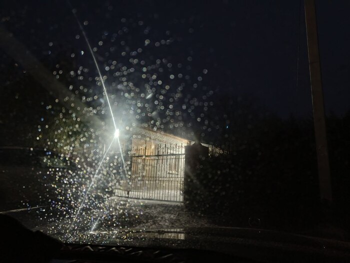 �������� ����