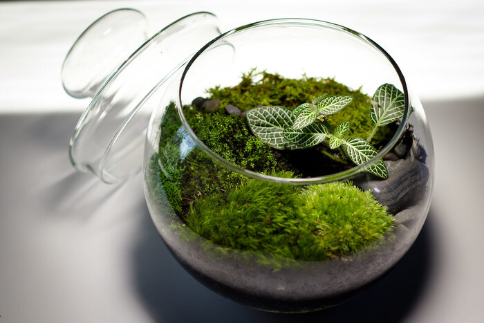 ����� ������, � ��� ������ �����: ������ �������� ���������������� ����������-����������