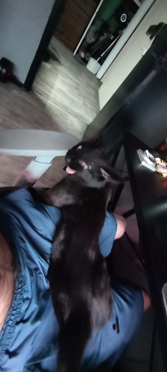 ��� ������ ���� ����/�����...�������� ����