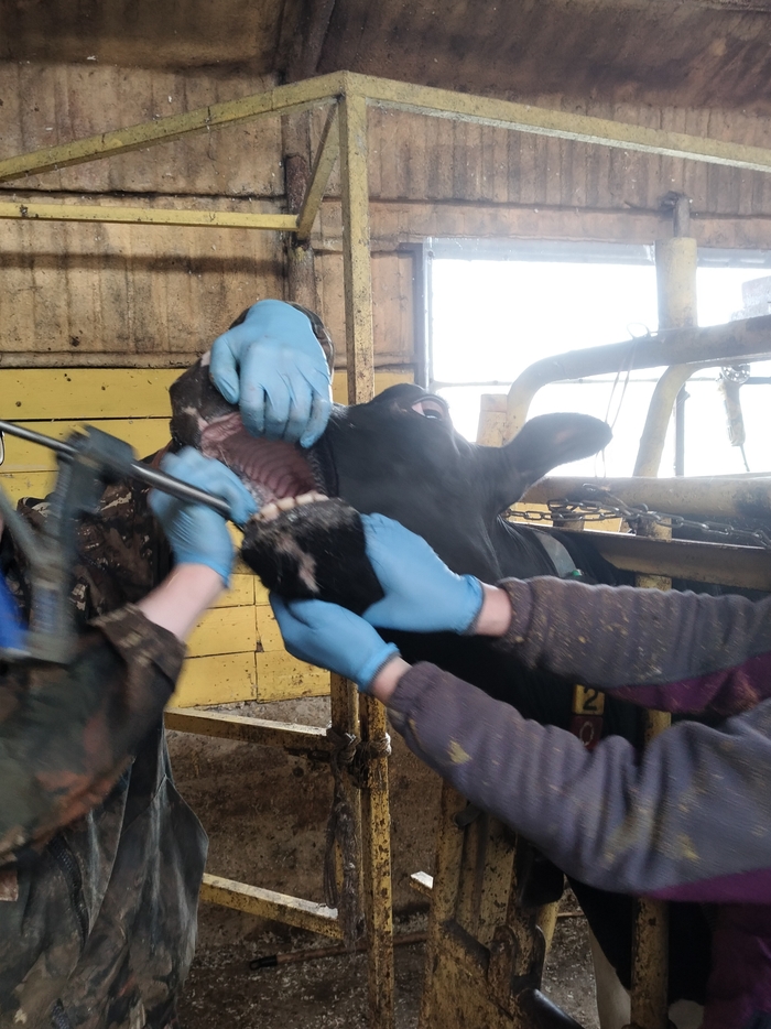 � ������� ��� ���������, �� ������ ���� ��������. ��������� ������� � �������������� (���� ������� �� ��������������).