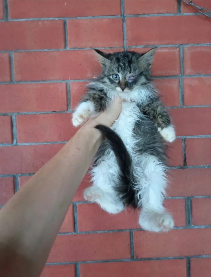 ������ �� ���� �� �������, �������� � ����� � ������� ��� ���� ����� �� ������ �����