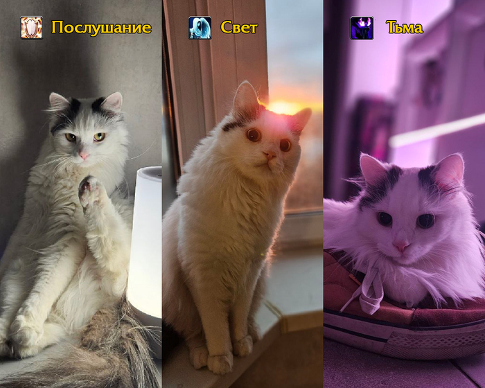 ����� �� �������?