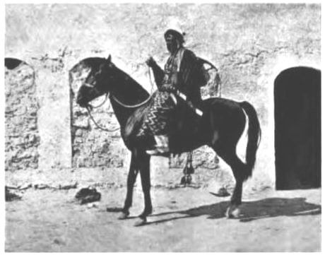 �������� ��� �������� ��� ��� ��� �����, ���� �������-�������.