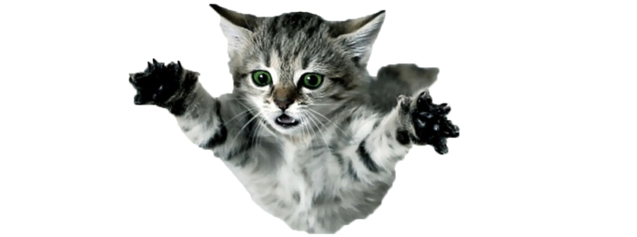 �� ��� ��� ������, ������ ����!!