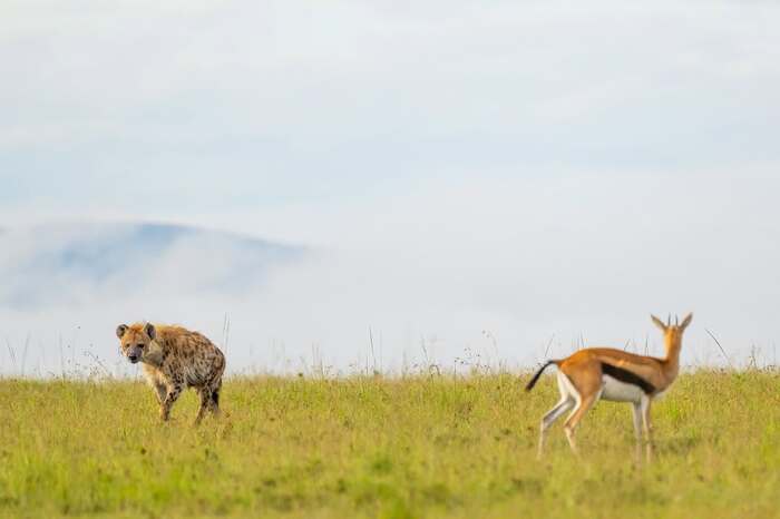 Лицом к лицу