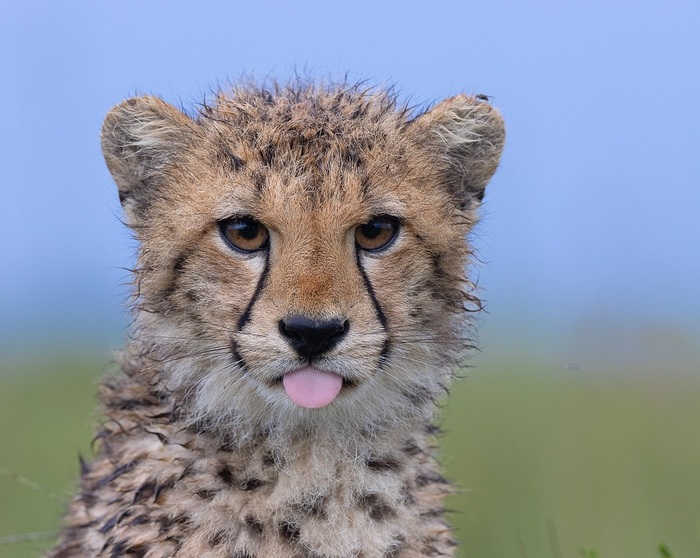 ���������