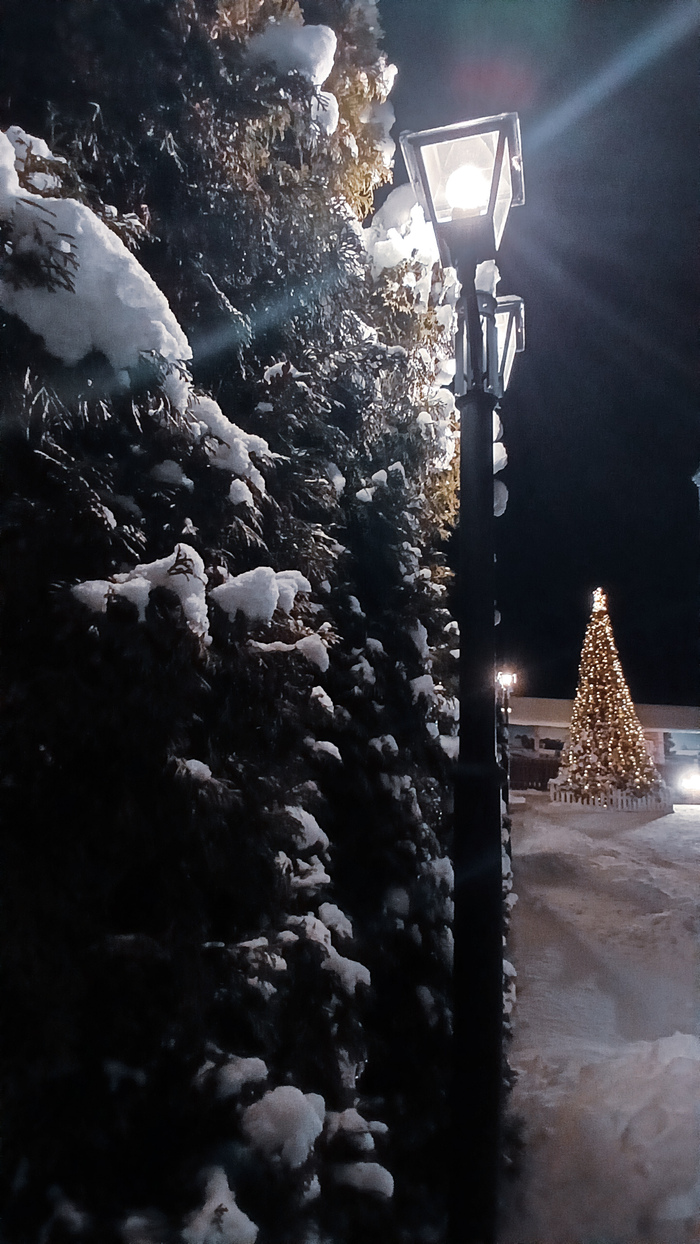 Гармония....выпал снег...и вроде бы природа достигла гармонии...теперь моя очередь...