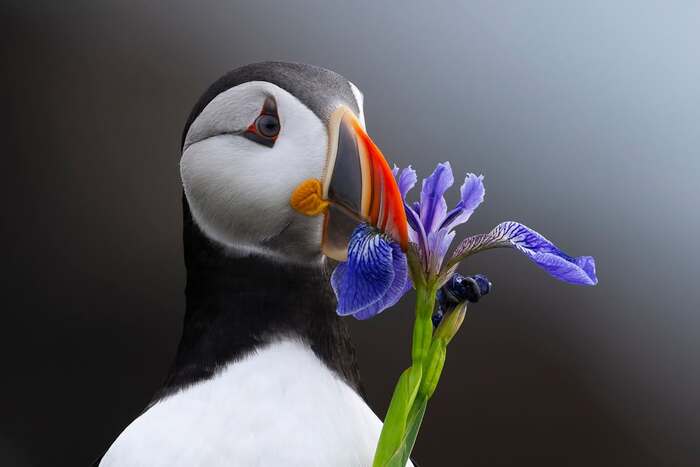 ����� � ������