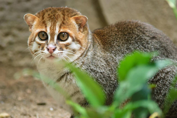 ���� �� ���������