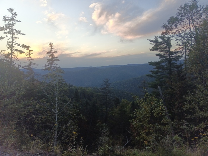 ��� ����� ������, ���� ������� �� �� ������ � ������