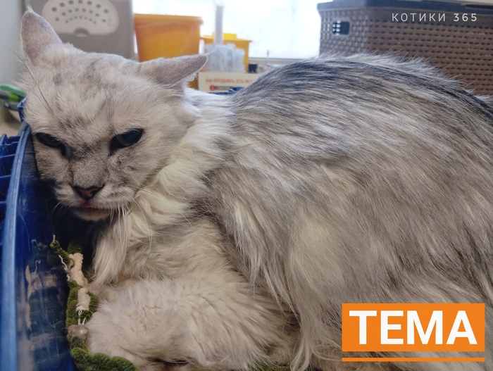 ���� 27.12.2025