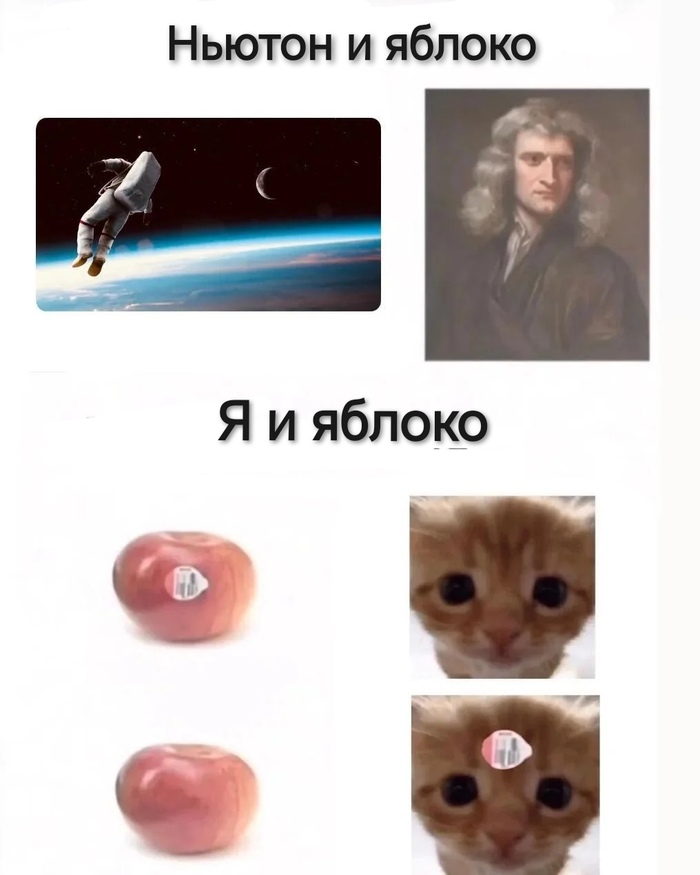 � �������