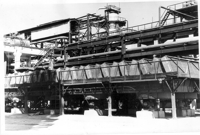 ����������� ����, 1980-� ����