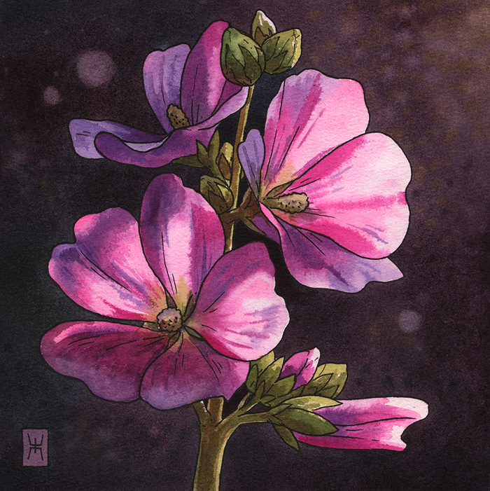 ������. ��������, ������ 21�21��., ������. ��� 2025�