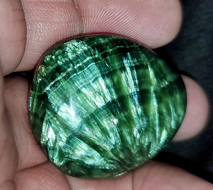 ������� ����������. ������ 3,5 ��. ������������ �������������