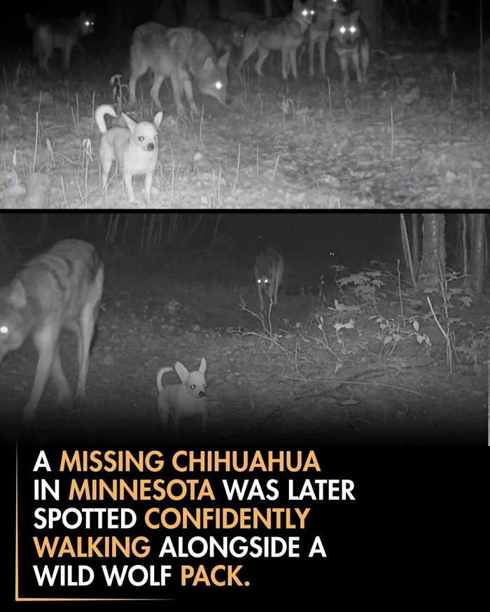 ��������� � ��������� �������� ����� ��� ������� �������� �������� ������ �� ����� ����� ������