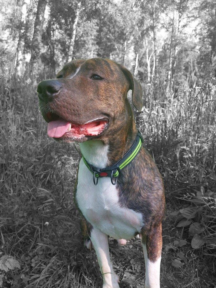 ����� �� ������ ������ ���� ������ � ���� ����