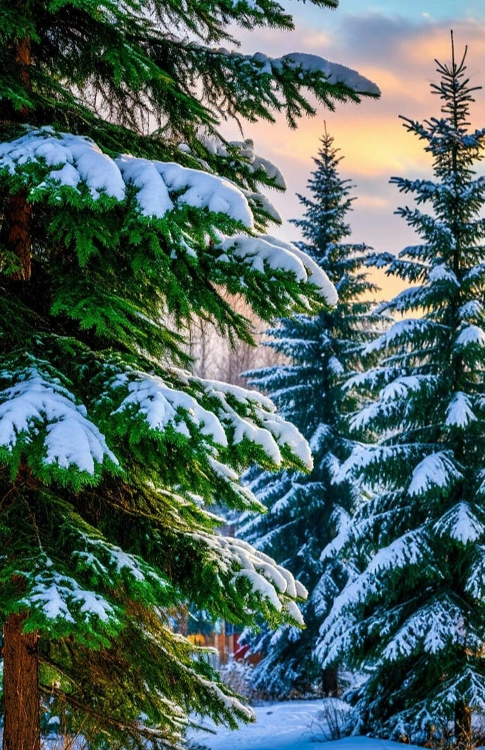 ����������� ������ ��������� �����������