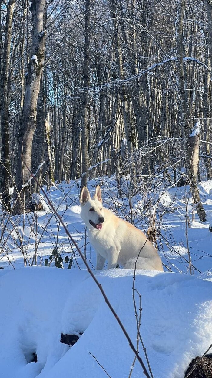 ����� �� ���� ��� ������ ���� ������ � ���� ����