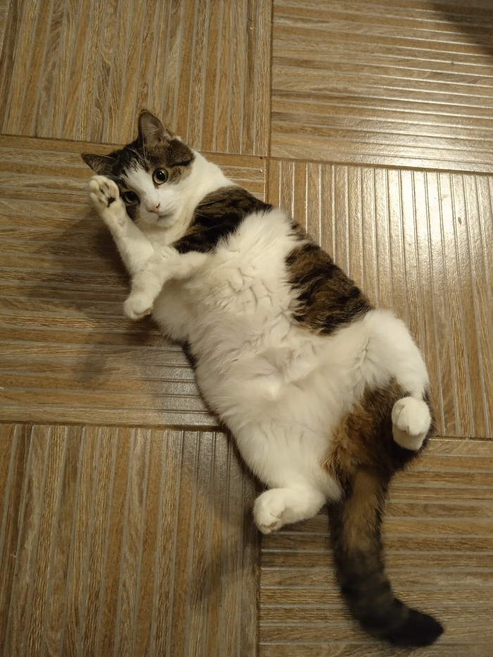 ������� ����