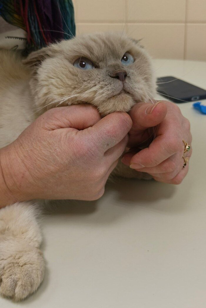 ������������ ���������, ��� �� � �������