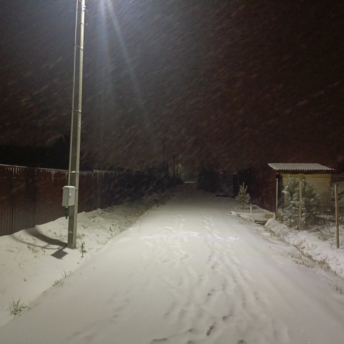 ���� �� ��, ��� ������ ����� ���� ���